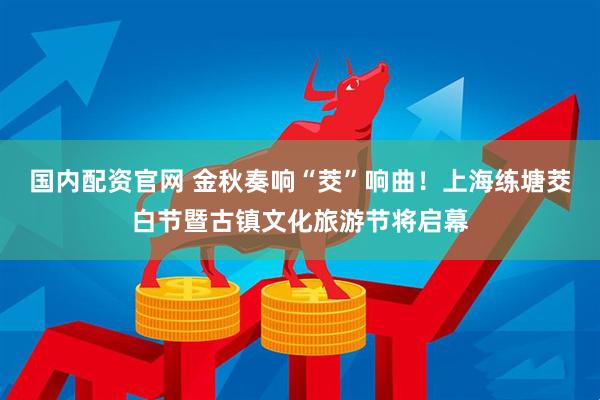 国内配资官网 金秋奏响“茭”响曲！上海练塘茭白节暨古镇文化旅游节将启幕