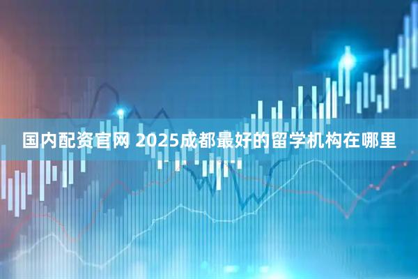国内配资官网 2025成都最好的留学机构在哪里